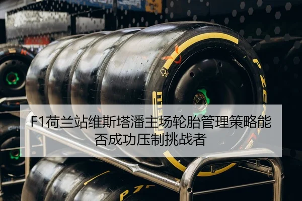 he-lan-zhan-wei-si-ta-pan-zhu-chang-lun-tai-guan-li-ce-lve-neng-fou-cheng-gong-ya-zhi-tiao-zhan-zhe-3-407.jpg