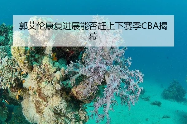 郭艾伦康复进展能否赶上下赛季CBA揭幕